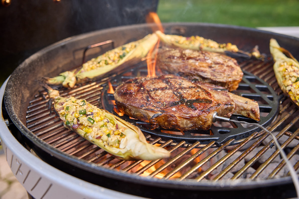 Weber Performer