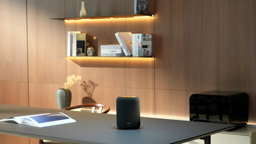 WiiM Sound Lite Schwarz