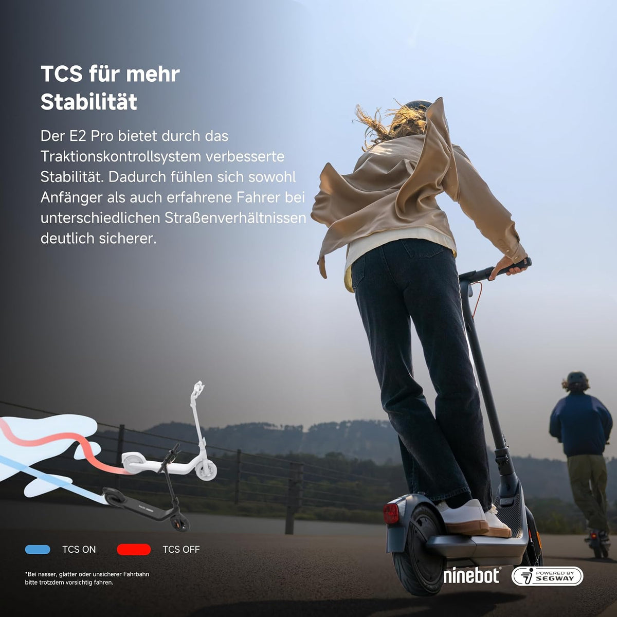 Segway-Ninebot E2 Pro D E-Scooter mit deutscher Straßenzulassung, 35 km Reichweite – Bild 5