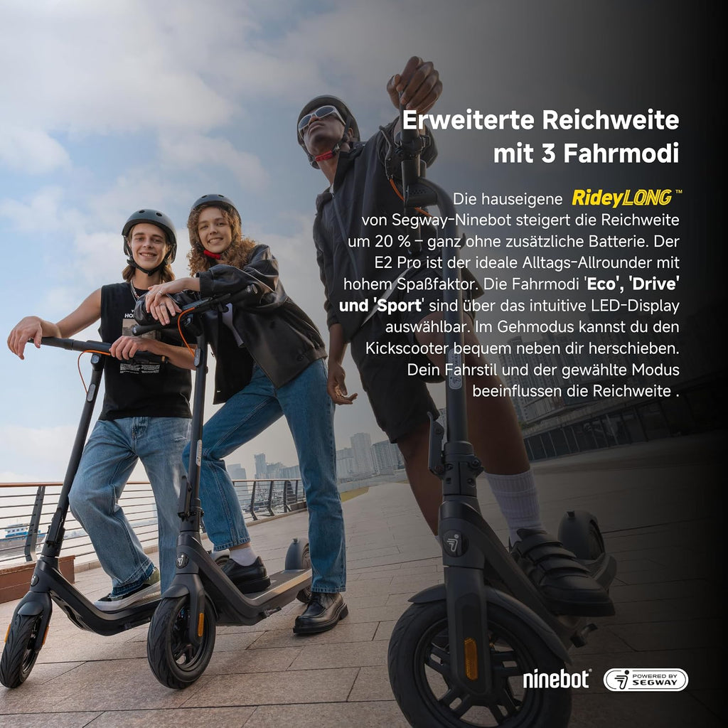 Segway-Ninebot E2 Pro D E-Scooter mit deutscher Straßenzulassung, 35 km Reichweite – Bild 4
