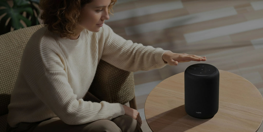 WiiM Sound Lite Schwarz