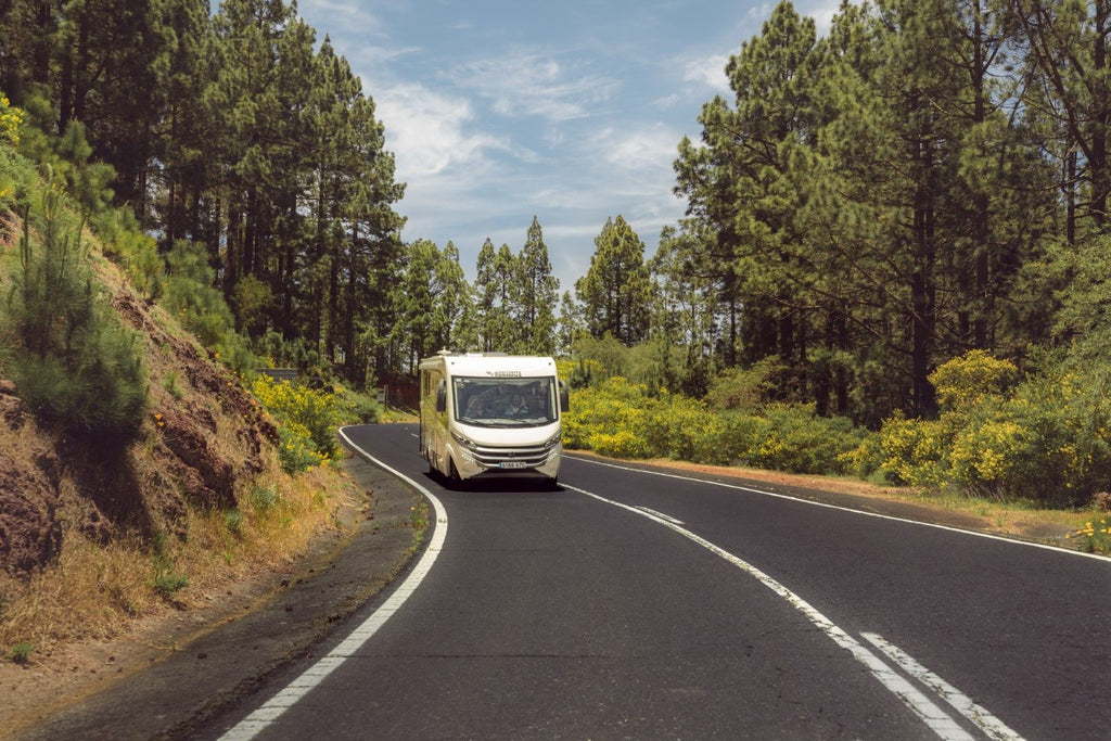 TomTom Camper Max Weltweit